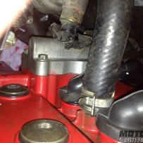 之前没彩票现重发 阳春代友出售精神靓仔盗匪77A带VC 8500大洋