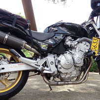 重出00年黄蜂600