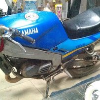 广西贵港代友尸体价格1500元出正常TZR125(有视频)