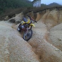 台山出售嘉陵白菜