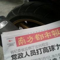 茂名市区代友出精神X11裸鸟