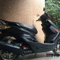 韶关出台湾山叶劲战羊一部,羊年买羊！