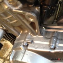 广东广州新塘镇出04年黄蜂919