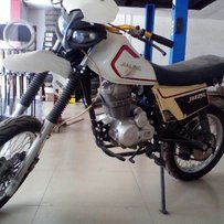 珠海出售白菜250.。磨合期都没过。。