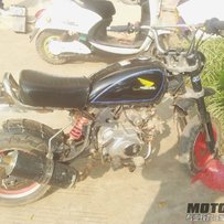 出福喜助力车和猴子