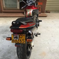 番禺出一部精神小黄蜂