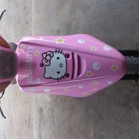 广东 揭阳 1500 出只 粉红哈喽kt JOG 50