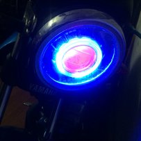 有牌的蓝色天剑K！！