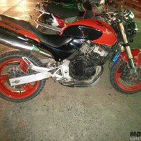 惠州沥林放部99年小黄蜂