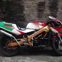 龙江3800出售NSR2，已卖已卖已卖已卖已卖已卖已卖已卖