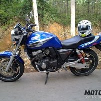 台山大江出个AVG动物园8.5新