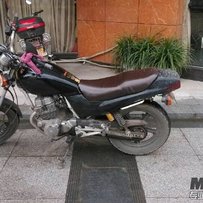 佛山三水出售精神夜鹰！！(已降最低价了)