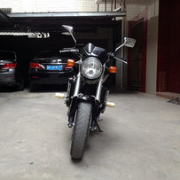 高州 出05精神原汁原味  变异黄蜂600