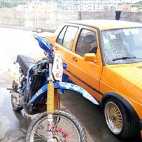 东莞出售DT200爬鸡