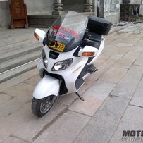 猴子,天浪已出售