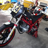 广东佛山出售国产人妖索尼克