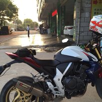 清远 转让 12年大黄锋 [精品]