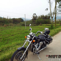 韶关出小黄蜂250一台