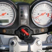 江门出售精神04黄蜂600