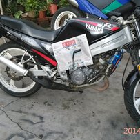 出台有牌有证TZR125和TDR125