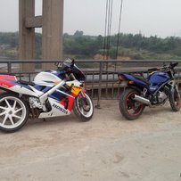 3000可刀出川崎宝马 250 当半尸体卖 精不精神！看视频