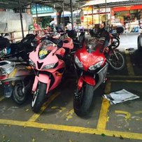 (广州番禺出售本田系列两兄弟07年F5，08年鹦鹉）