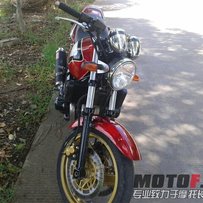 ZRX小猪头已出售