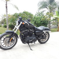 佛山出售台哈雷运动版 883R 。