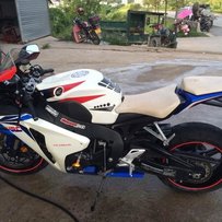 韶关仁化出08鹦鹉CBR1000