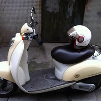 番禺市桥出本田55期龟仔