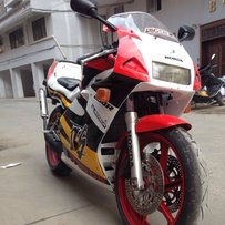 出售完整度非常高干离三仔