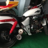 马格纳250.ns-1.tzr125