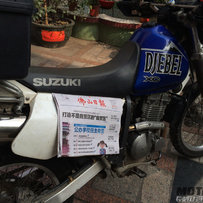 广东佛山南海出97年大眼