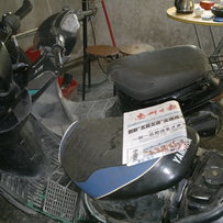 惠州450元出售2部小绵羊及本田太子