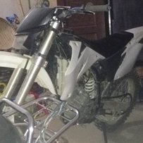 阳江出售自用正林250