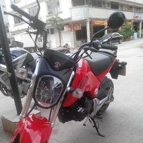 容县出售望江大公仔150 8月28买的全新车已入户