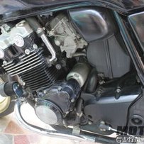 广东梅州出售08鹦鹉和05CB三代接受换车