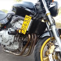 广州周边出售黄蜂600