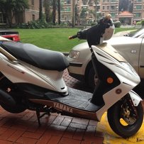 车子已出售 谢谢绿茵直播!!!谢谢各位关注!!