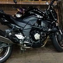 惠州市区出售精神暴力09Z1000