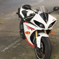 江门鹤山放血价出售一手极品精神10款美版R1