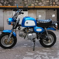 广东江门市区转让泰国猩猩１２５ＭＩＮＩ