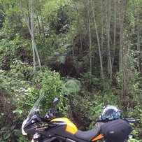 13年versys650 带ＡＢＳ