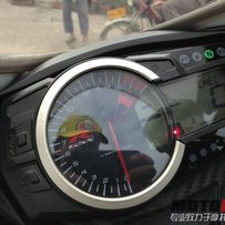 特价特价 28-29号        江门新会出售11年L1 小R600