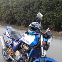 代友重新发贴白云CB1000