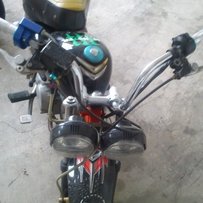 广东梅州出售猴子猩猩混合体本田100机器(自刀200）