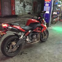 广东河源割爱黄龙600。。。。。