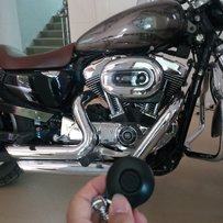 06年哈雷化油器版XL1200