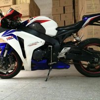 江门市区出原版08鹦鹉