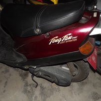 以被邵兴车友接走了900出售风帆90绵羊仔~~